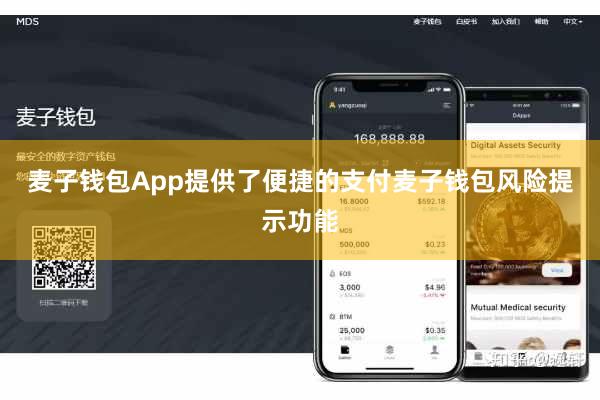 麦子钱包App提供了便捷的支付麦子钱包风险提示功能