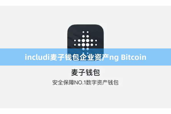 includi麦子钱包企业资产ng Bitcoin
