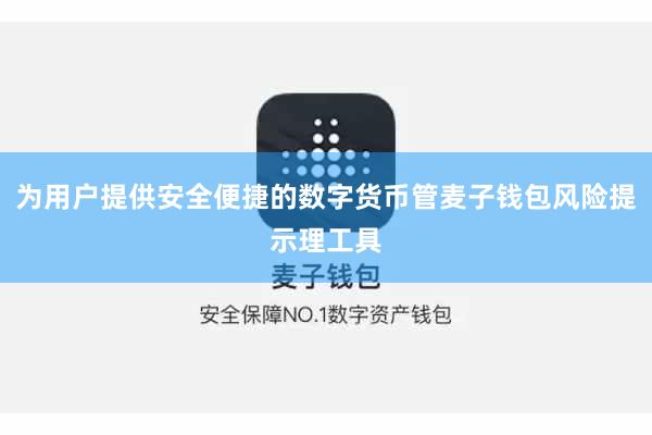 为用户提供安全便捷的数字货币管麦子钱包风险提示理工具