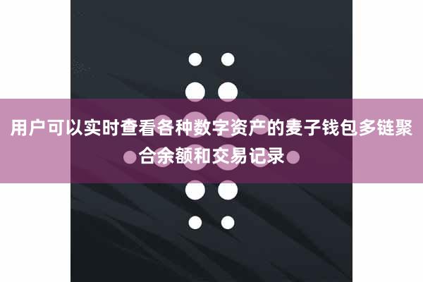 用户可以实时查看各种数字资产的麦子钱包多链聚合余额和交易记录