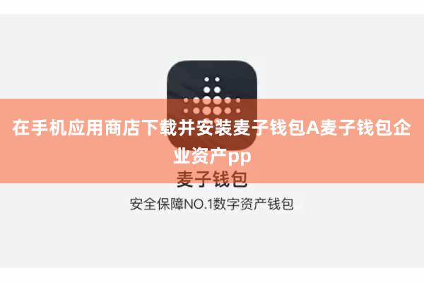 在手机应用商店下载并安装麦子钱包A麦子钱包企业资产pp