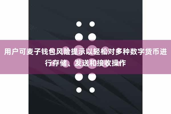 用户可麦子钱包风险提示以轻松对多种数字货币进行存储、发送和接收操作