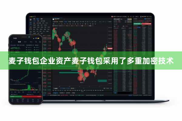 麦子钱包企业资产麦子钱包采用了多重加密技术