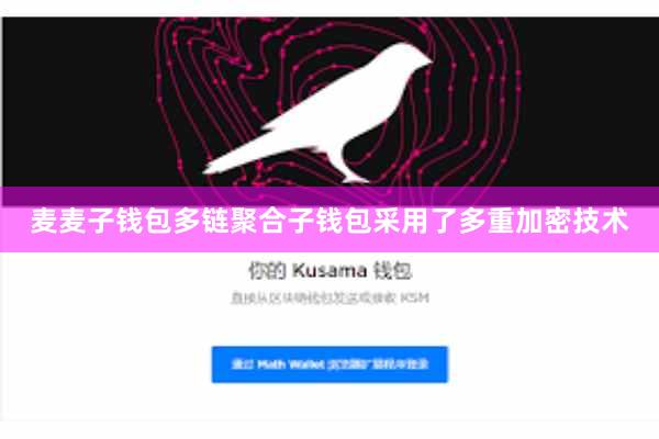 麦麦子钱包多链聚合子钱包采用了多重加密技术