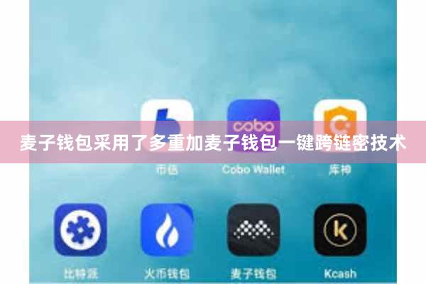 麦子钱包采用了多重加麦子钱包一键跨链密技术
