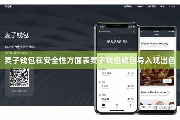 麦子钱包在安全性方面表麦子钱包钱包导入现出色