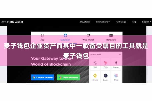 麦子钱包企业资产而其中一款备受瞩目的工具就是麦子钱包
