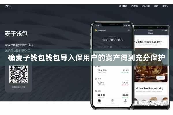 确麦子钱包钱包导入保用户的资产得到充分保护