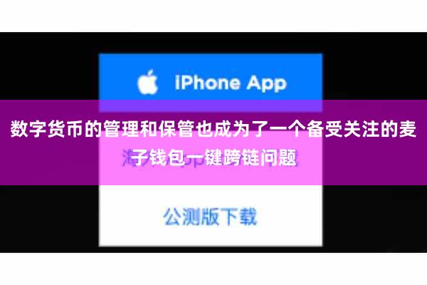 数字货币的管理和保管也成为了一个备受关注的麦子钱包一键跨链问题