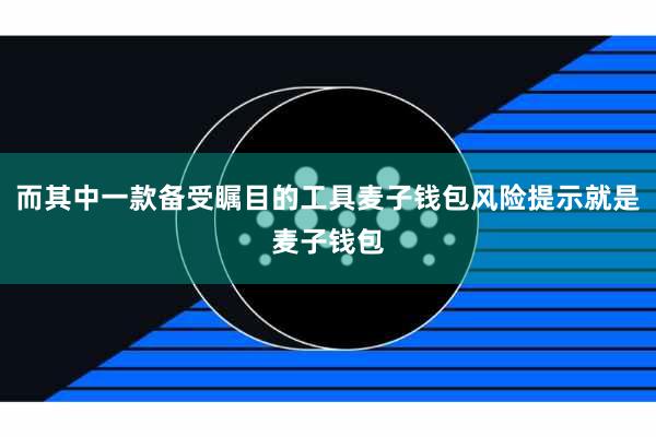 而其中一款备受瞩目的工具麦子钱包风险提示就是麦子钱包