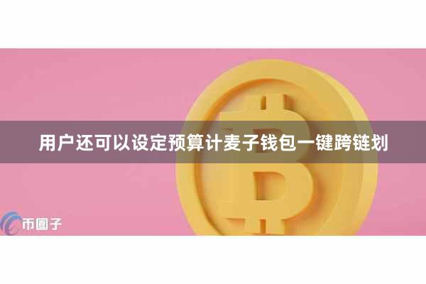 用户还可以设定预算计麦子钱包一键跨链划