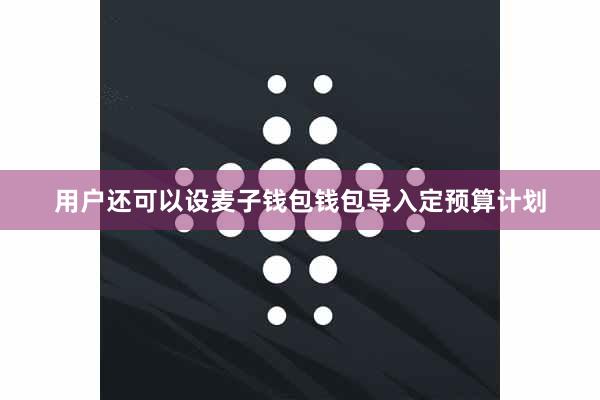 用户还可以设麦子钱包钱包导入定预算计划