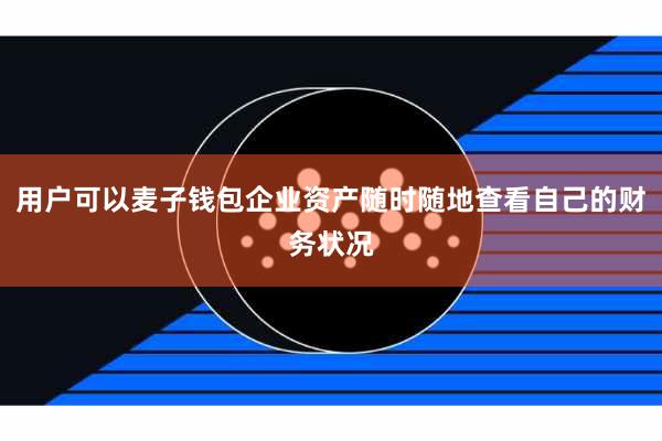 用户可以麦子钱包企业资产随时随地查看自己的财务状况