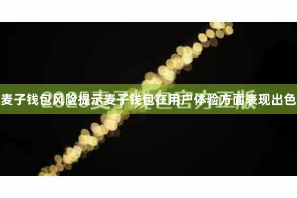 麦子钱包风险提示麦子钱包在用户体验方面表现出色