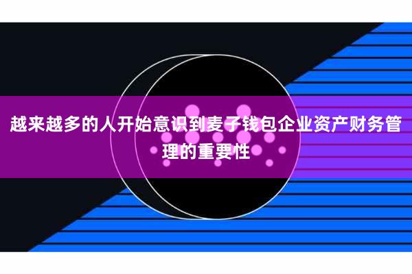 越来越多的人开始意识到麦子钱包企业资产财务管理的重要性