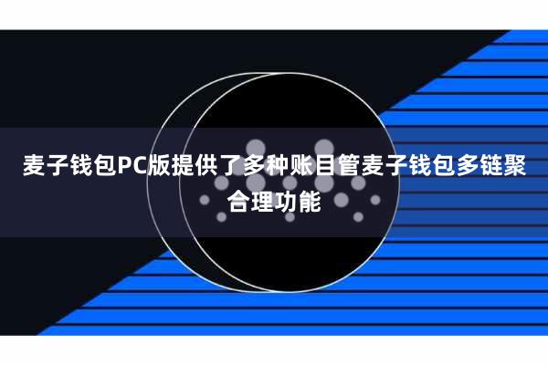 麦子钱包PC版提供了多种账目管麦子钱包多链聚合理功能
