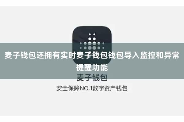 麦子钱包还拥有实时麦子钱包钱包导入监控和异常提醒功能