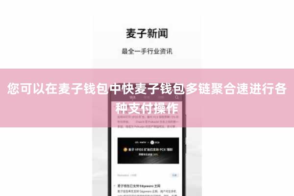 您可以在麦子钱包中快麦子钱包多链聚合速进行各种支付操作