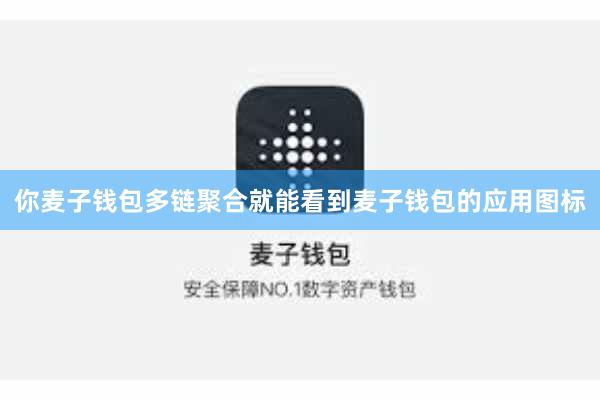 你麦子钱包多链聚合就能看到麦子钱包的应用图标