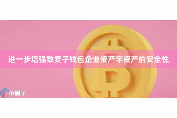 进一步增强数麦子钱包企业资产字资产的安全性