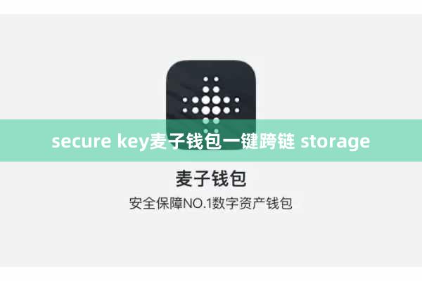 secure key麦子钱包一键跨链 storage