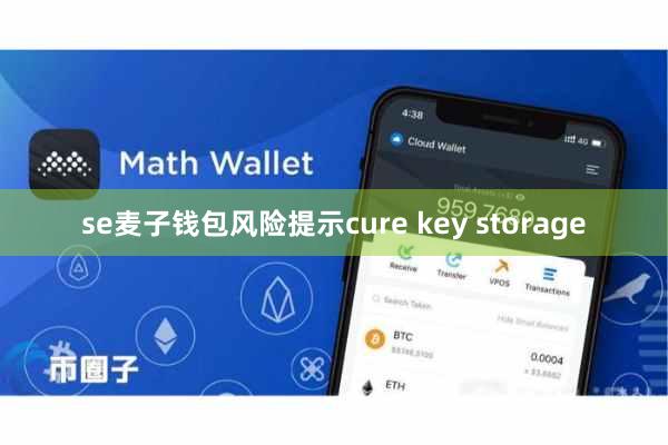 se麦子钱包风险提示cure key storage