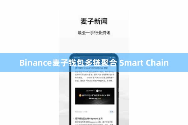 Binance麦子钱包多链聚合 Smart Chain
