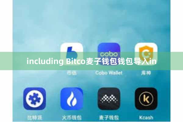 including Bitco麦子钱包钱包导入in