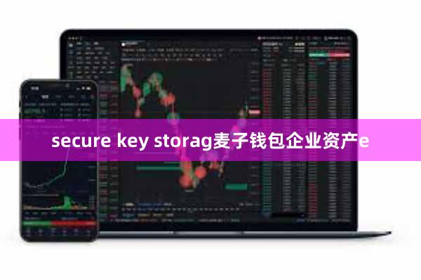 secure key storag麦子钱包企业资产e