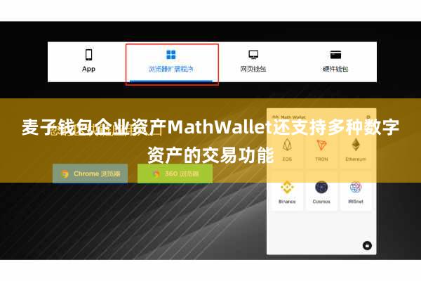 麦子钱包企业资产MathWallet还支持多种数字资产的交易功能