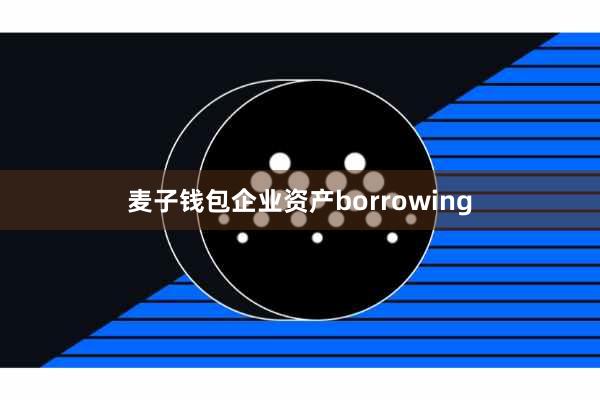 麦子钱包企业资产borrowing