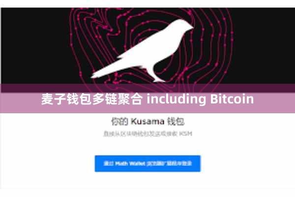 麦子钱包多链聚合 including Bitcoin