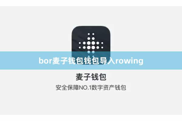 bor麦子钱包钱包导入rowing