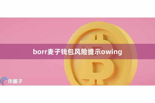borr麦子钱包风险提示owing
