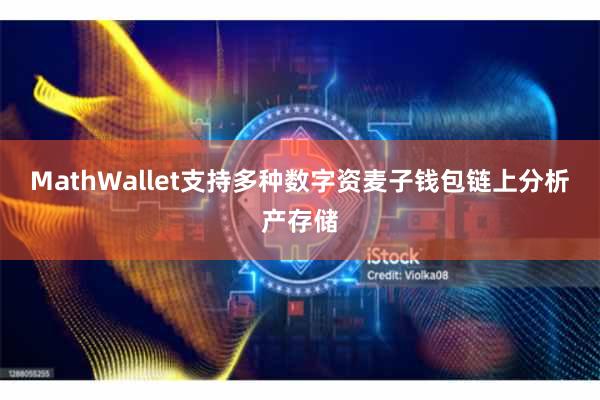 MathWallet支持多种数字资麦子钱包链上分析产存储