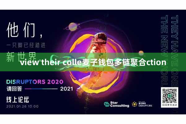 view their colle麦子钱包多链聚合ction