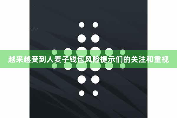 越来越受到人麦子钱包风险提示们的关注和重视