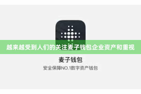越来越受到人们的关注麦子钱包企业资产和重视