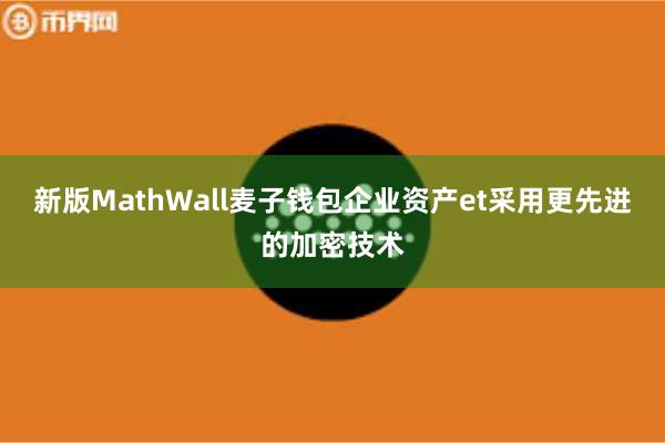 新版MathWall麦子钱包企业资产et采用更先进的加密技术