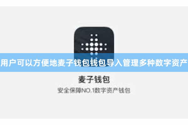 用户可以方便地麦子钱包钱包导入管理多种数字资产