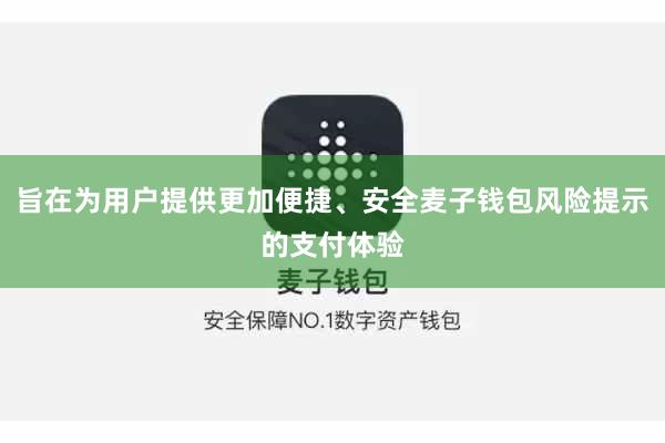 旨在为用户提供更加便捷、安全麦子钱包风险提示的支付体验