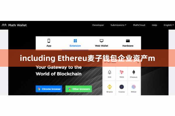 including Ethereu麦子钱包企业资产m