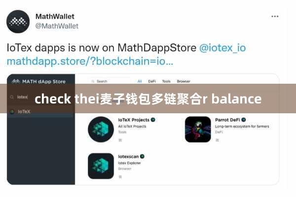 check thei麦子钱包多链聚合r balance