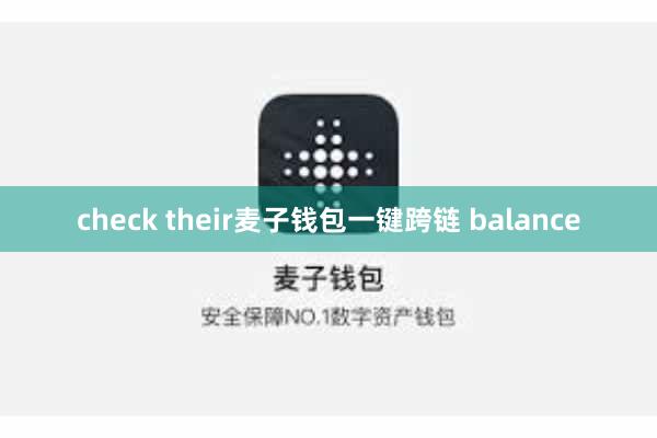 check their麦子钱包一键跨链 balance