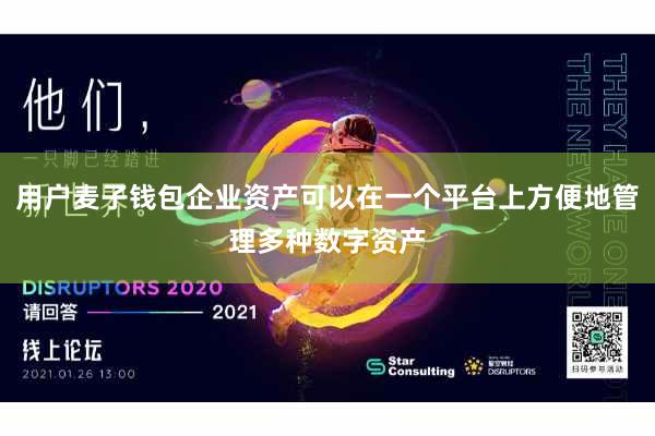用户麦子钱包企业资产可以在一个平台上方便地管理多种数字资产
